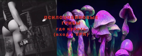 амф Алексеевка