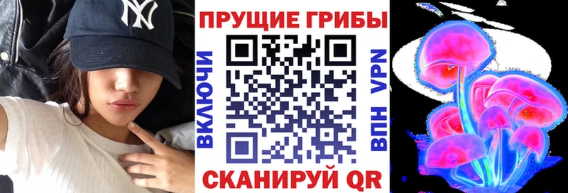 MEGA ССЫЛКА  Ачинск  Псилоцибиновые грибы мухоморы 