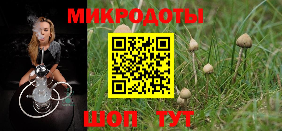 Псилоцибиновые грибы прущие грибы Ачинск