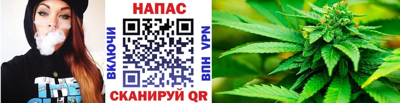 Марихуана план  хочу наркоту  блэк спрут как зайти  Ачинск 